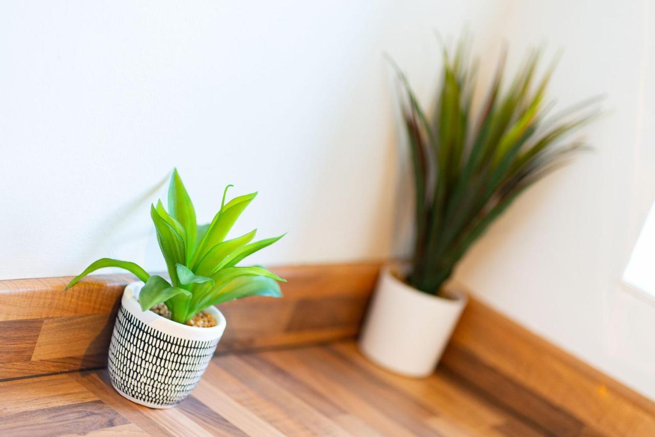 Cleppie Apartment Dundee Ngoại thất bức ảnh